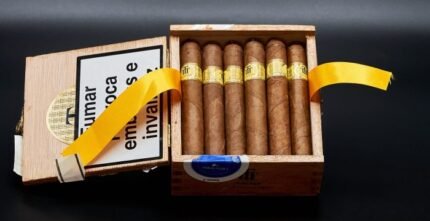 Trinidad Reyes premium Cuban cigar crafted with aged tobacco leaves, offering a smooth draw, rich aroma, and a refined luxury smoking experience from Official Cigar Store.