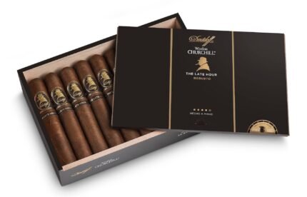 Davidoff Winston Churchill the late hour Robusto (20)