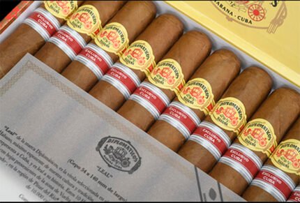 Diplomáticos Leal ER Cuba 2021 (10)